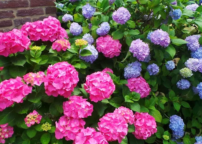 Сasa de vacaciones Nirosa *